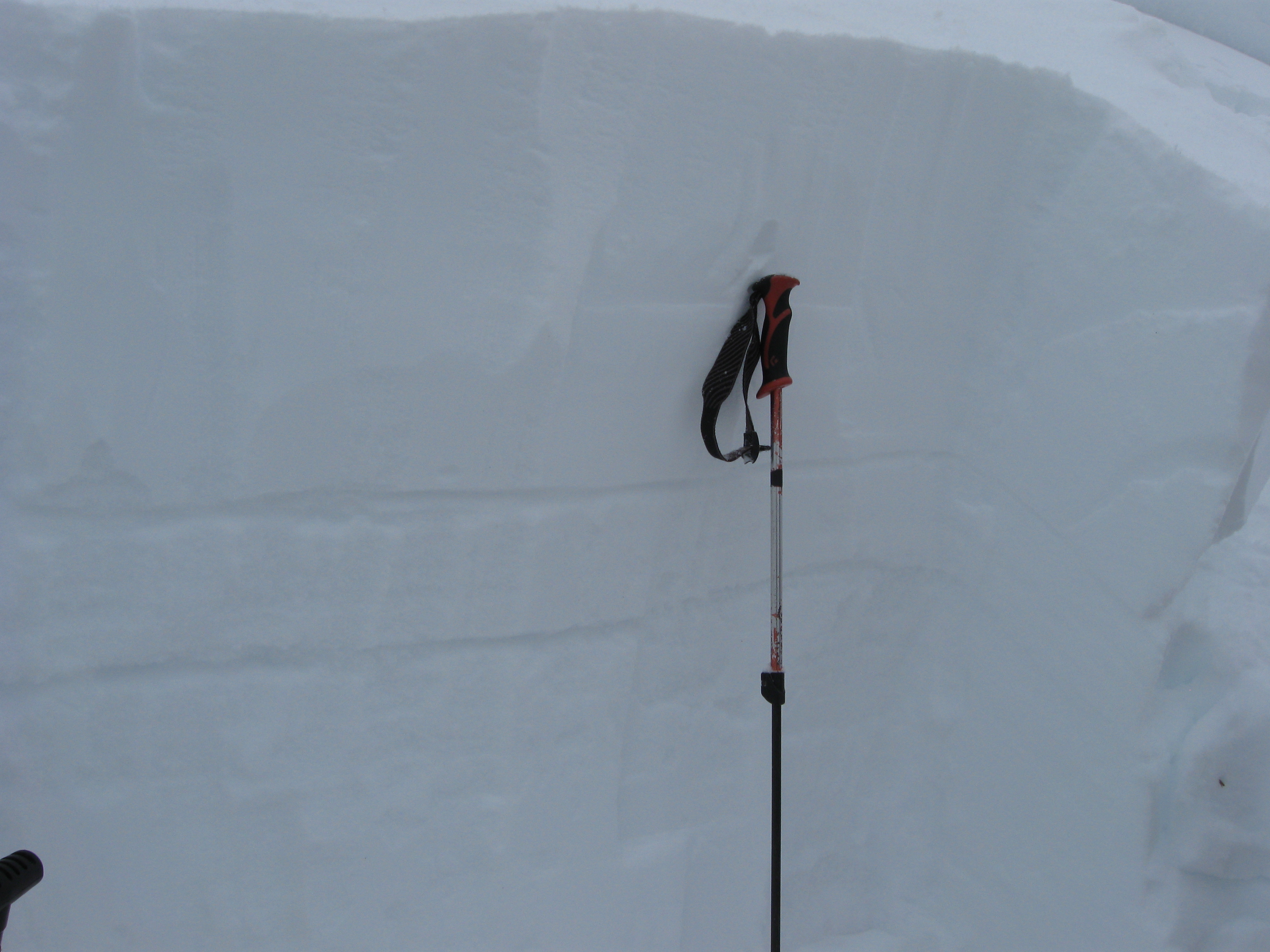 Buried Surface Hoar in Beehive