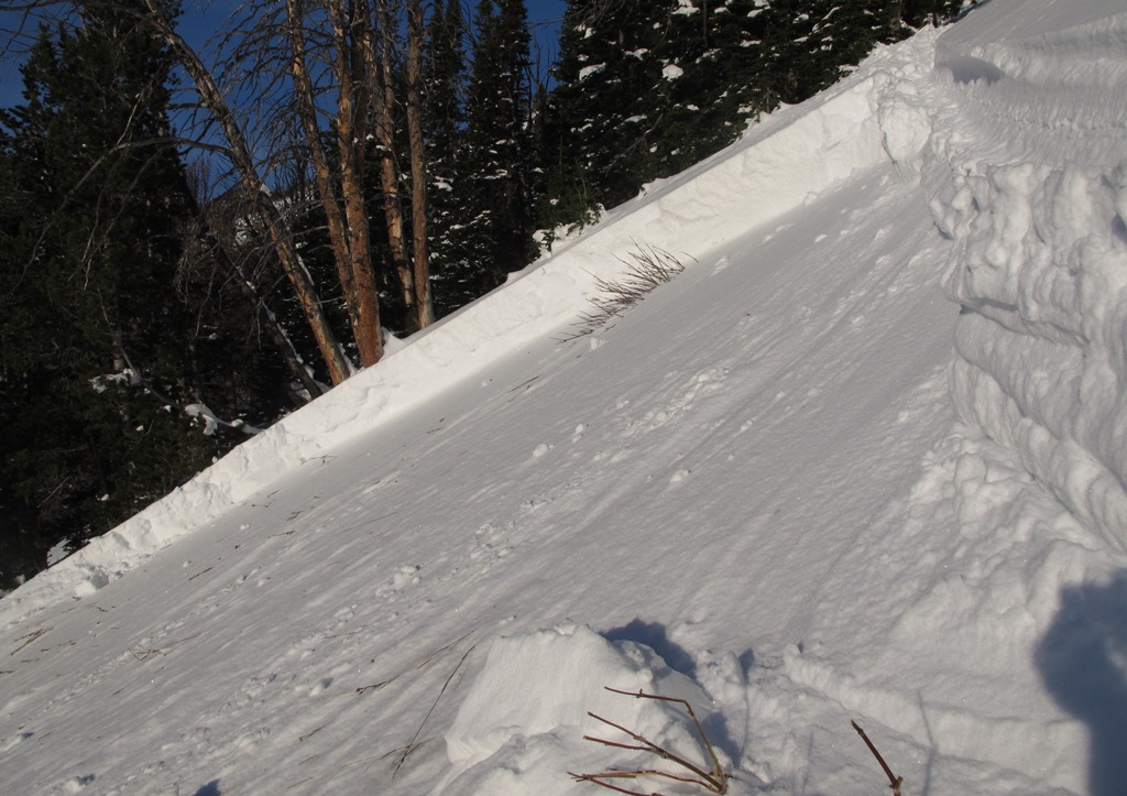 Beehive Avalanche Crown