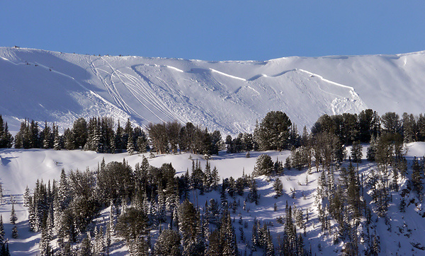 Henderson Bench Avalanches