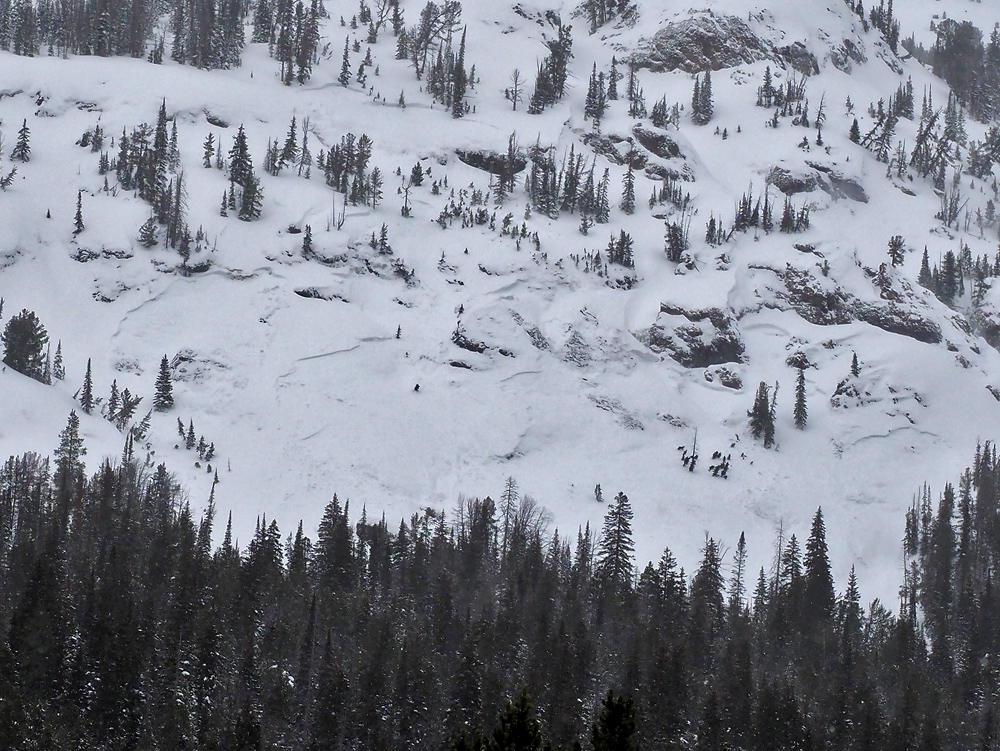 Natural Avalanches Cooke City, 2/8/17